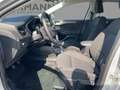 Ford Focus TITA 5W 1.0T 125 MHEV M6 FWD LM-Felgen Silber - thumbnail 7