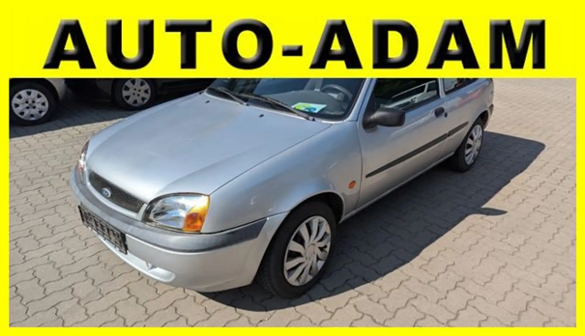 Ford Fiesta Silber - 1