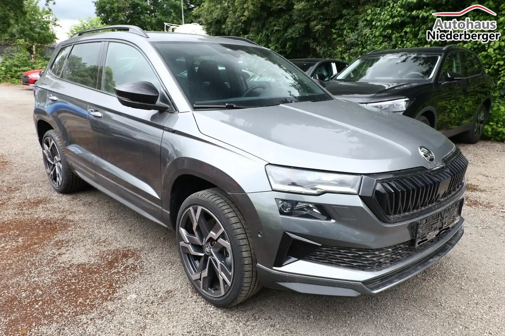 Skoda Karoq Sportline DSG Sportl AHK 19Z Matrix Nav 360° Ca... Grau - 2