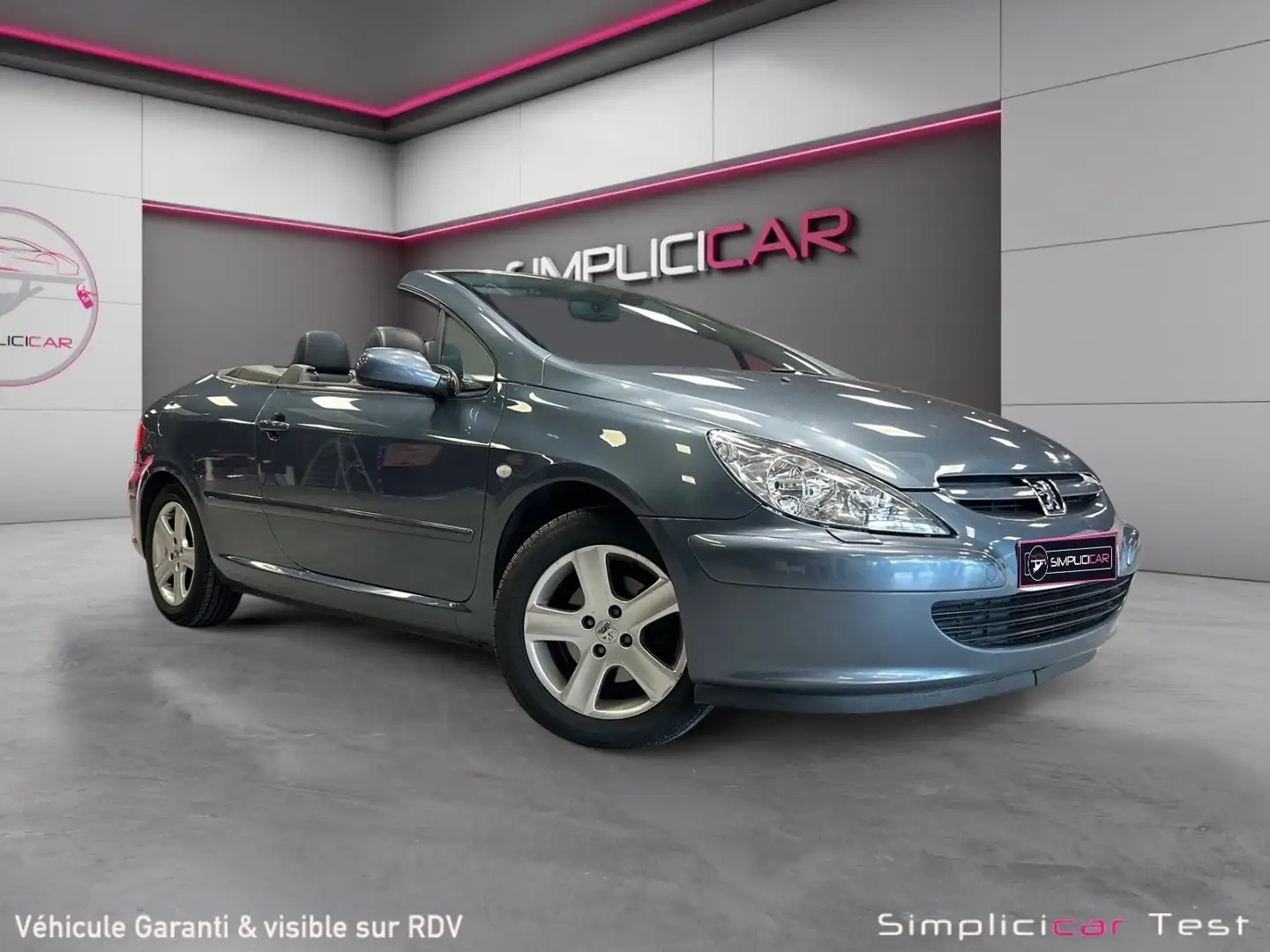 Peugeot 307 Grau - 1