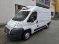 Fiat Ducato 2.0 mjt 85kw euro 5B *coibentato - thumbnail 1