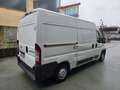 Fiat Ducato 2.0 mjt 85kw euro 5B *coibentato - thumbnail 5