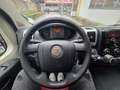 Fiat Ducato 2.0 mjt 85kw euro 5B *coibentato - thumbnail 11