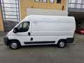 Fiat Ducato 2.0 mjt 85kw euro 5B *coibentato - thumbnail 7
