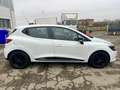 Renault Clio 1.5dci Cinghia E Tagliando Appena Fatti - thumbnail 4