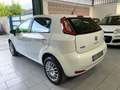 Fiat Punto Punto 1.4 8V 5 porte Natural Power Street Bianco - thumbnail 6