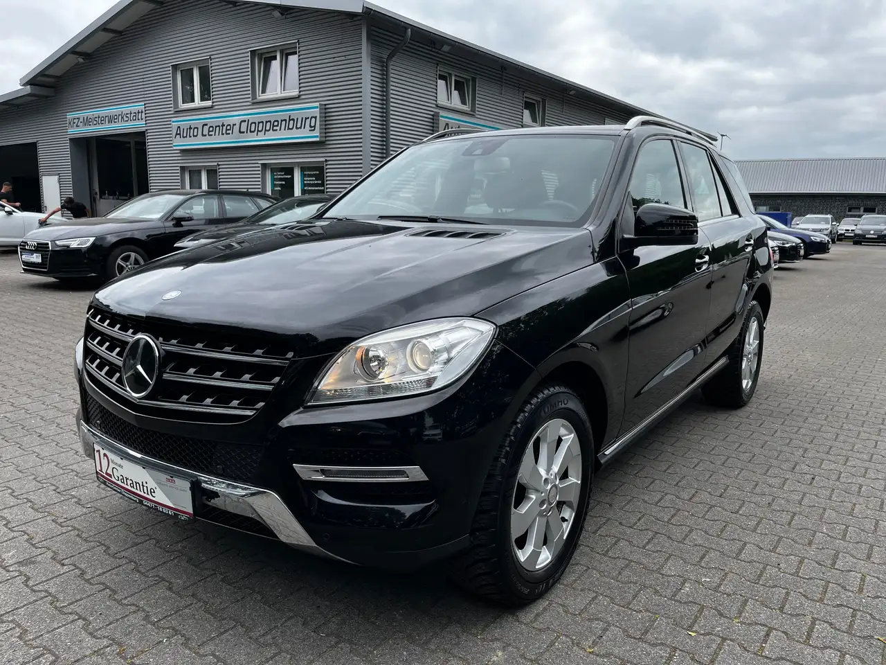 Mercedes-Benz ML 250