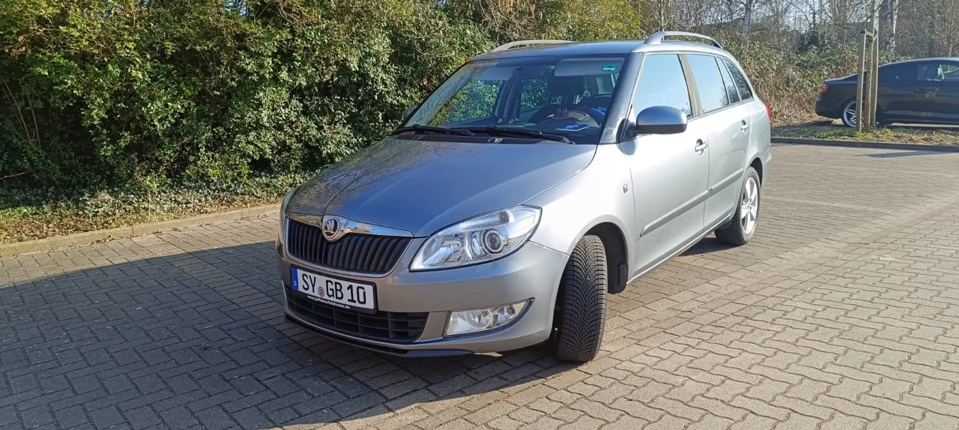 Skoda Fabia Fresh Grau - 1