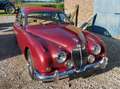 Jaguar MK II 3.8 l Rot - thumbnail 4