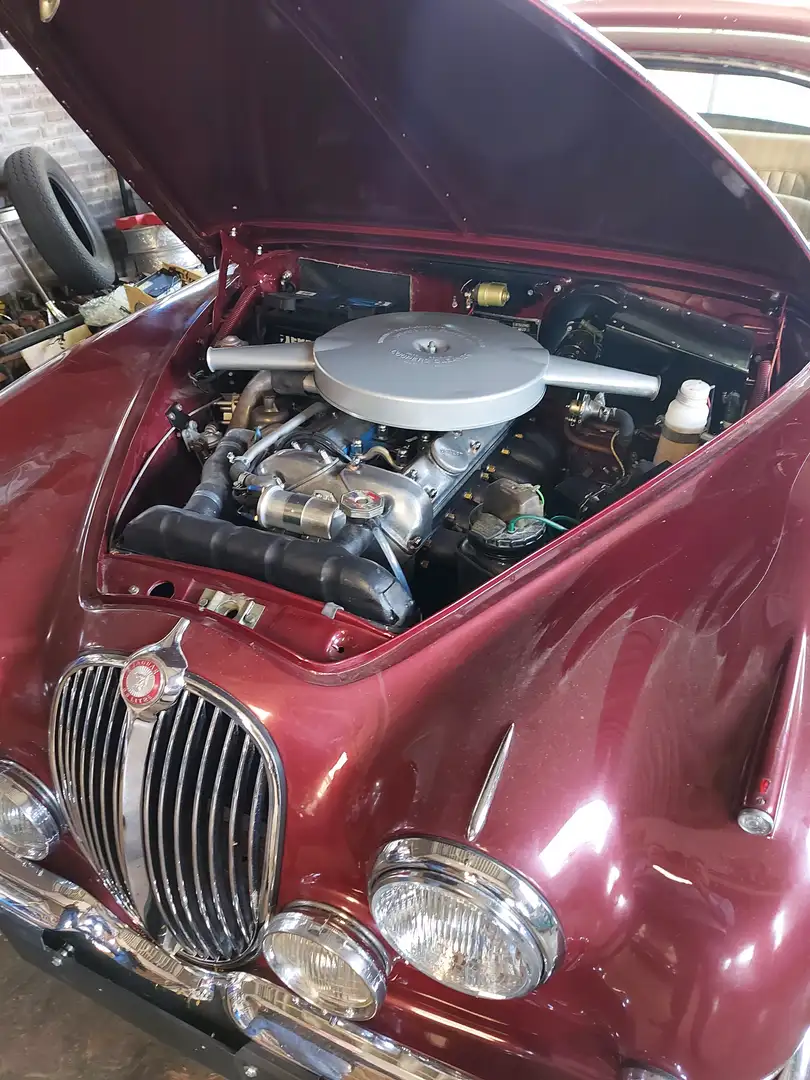 Jaguar MK II 3.8 l Rot - 2
