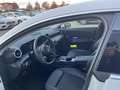 Mercedes-Benz CLA 250 CLA 250 e Shooting Brake AHK+PANO+LED+SHD+NAVI Weiß - thumbnail 11