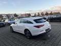 Mercedes-Benz CLA 250 CLA 250 e Shooting Brake AHK+PANO+LED+SHD+NAVI Weiß - thumbnail 7