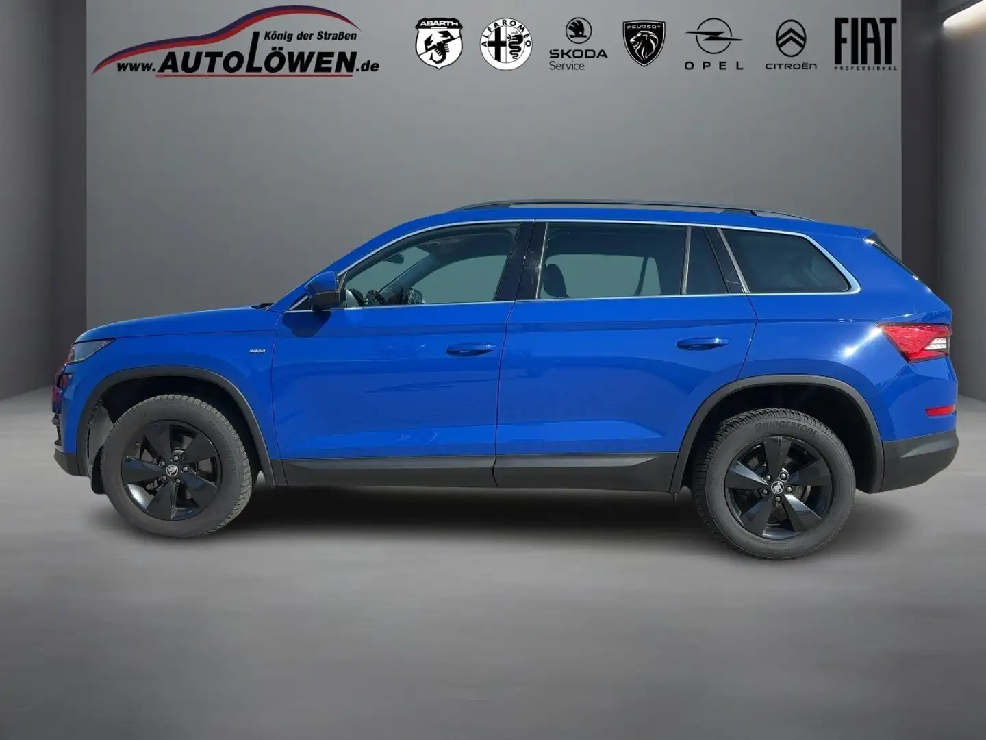 Skoda Kodiaq 2.0 TDI Drive 125 (EURO 6d-TEMP) Blau - 2