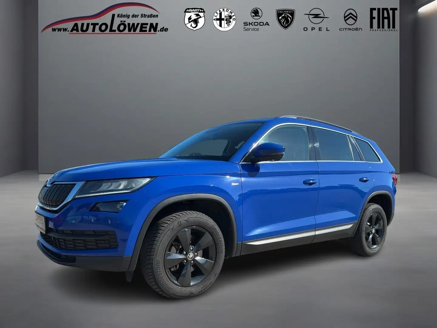 Skoda Kodiaq 2.0 TDI Drive 125 (EURO 6d-TEMP) Blau - 1