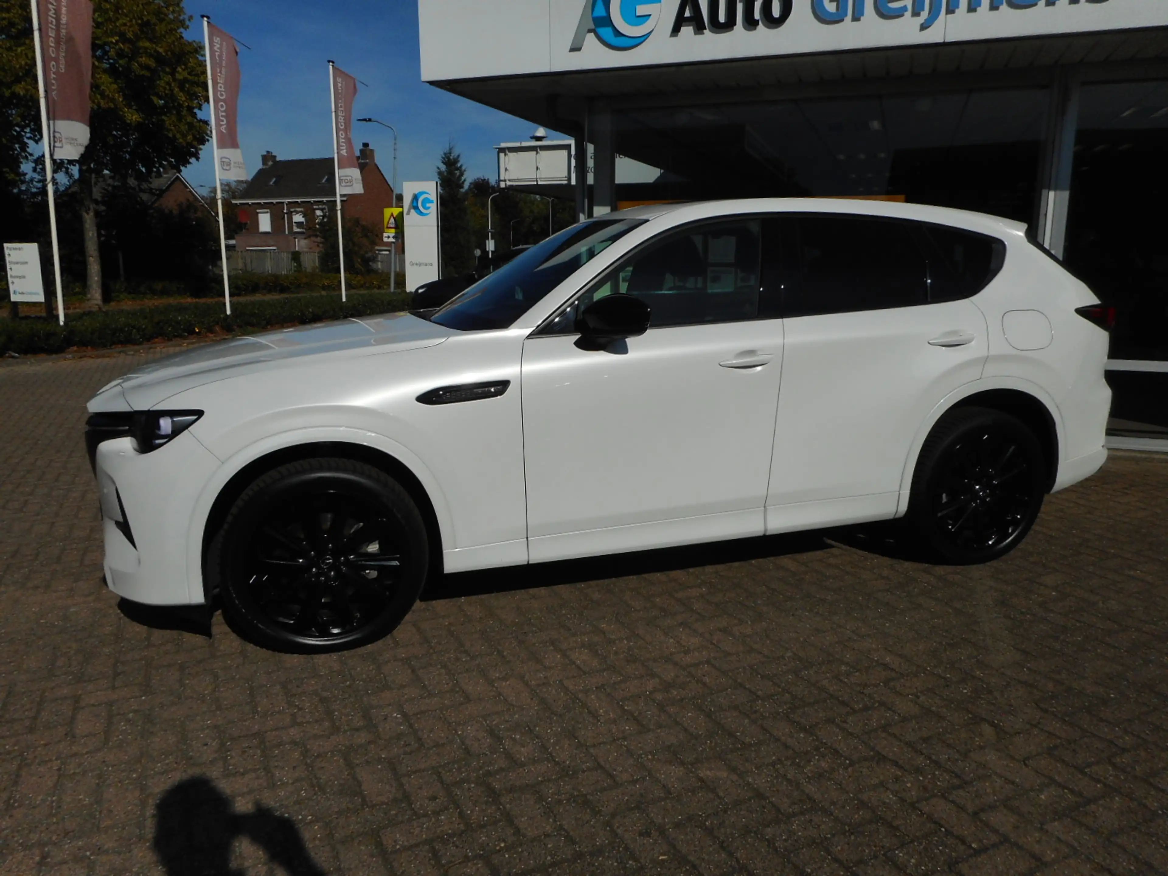Mazda CX-60 2.5 e-SkyActiv PHEV Homura Plus — photo 3