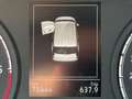 Volkswagen Caddy 2.0 TDI EDITION Bianco - thumbnail 10