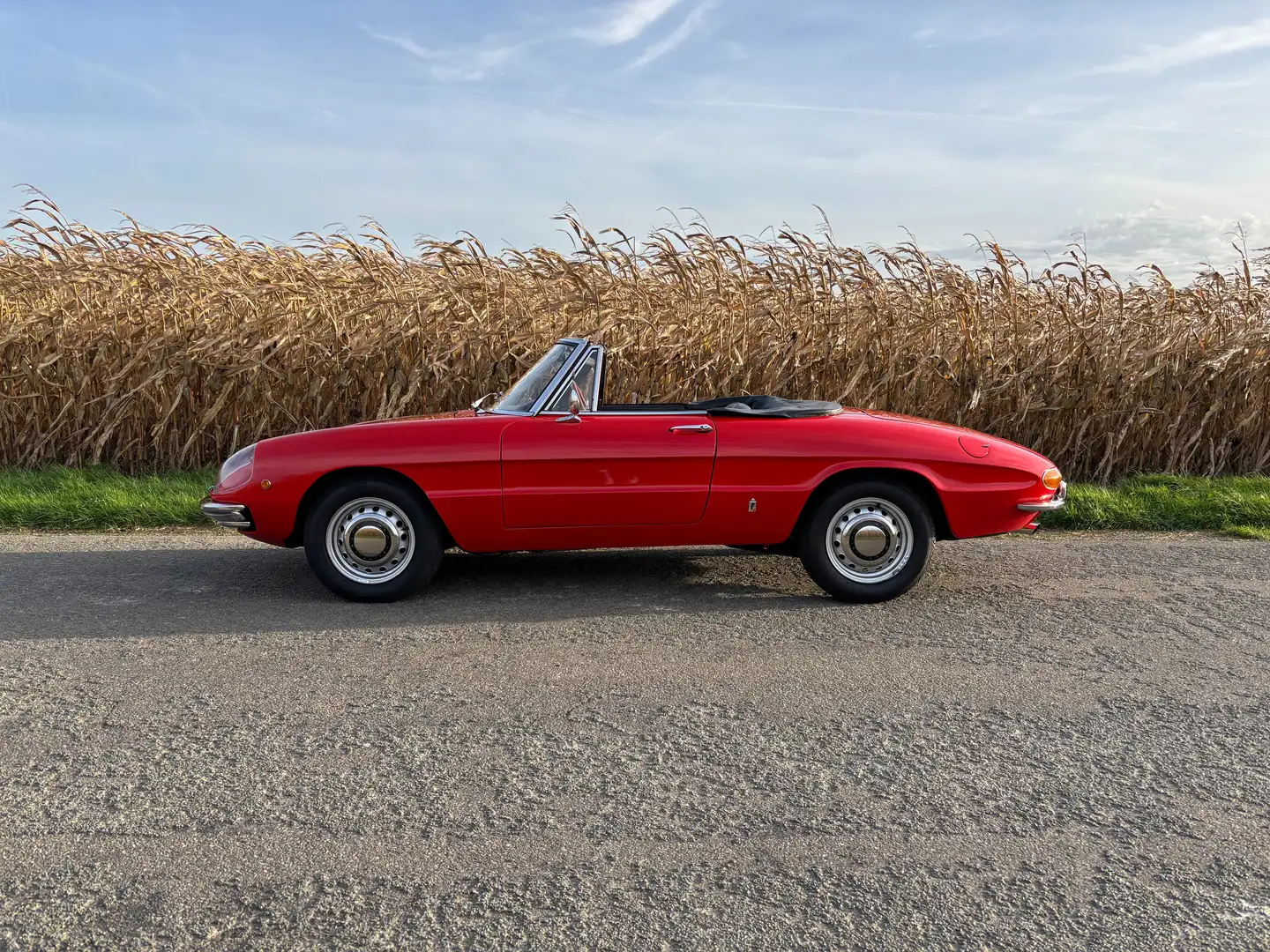Alfa Romeo Spider Duetto 1750 Rot - 2
