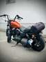 Harley-Davidson Sportster Forty Eight Sportster 48 / Sonderlackierung/ Metzler Portocaliu - thumbnail 6