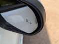 Ford Puma 1.0 EcoBoost Hybrid ST-Line X | Panoramadak | Wint Blanco - thumbnail 18