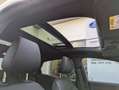 Ford Puma 1.0 EcoBoost Hybrid ST-Line X | Panoramadak | Wint Blanco - thumbnail 31
