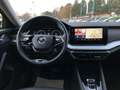 Skoda Octavia Combi iV First Edition Leder Matrix Navi Schwarz - thumbnail 15