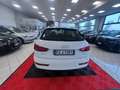 Audi Q3 2.0 TDI 120 CV Business Bianco - thumbnail 6