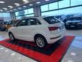 Audi Q3 2.0 TDI 120 CV Business Bianco - thumbnail 4