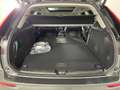Volvo XC60 T6 AWD PHEV 4 Life 18,8kWh Ultra Dark Aut. | St... Grün - thumbnail 12