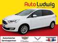 Ford Grand C-Max Grand C-MAX Titanium 2,0 TDCi Powershift*NAVI*X... Weiß - thumbnail 1