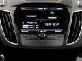 Ford Grand C-Max Grand C-MAX Titanium 2,0 TDCi Powershift*NAVI*X... Weiß - thumbnail 9