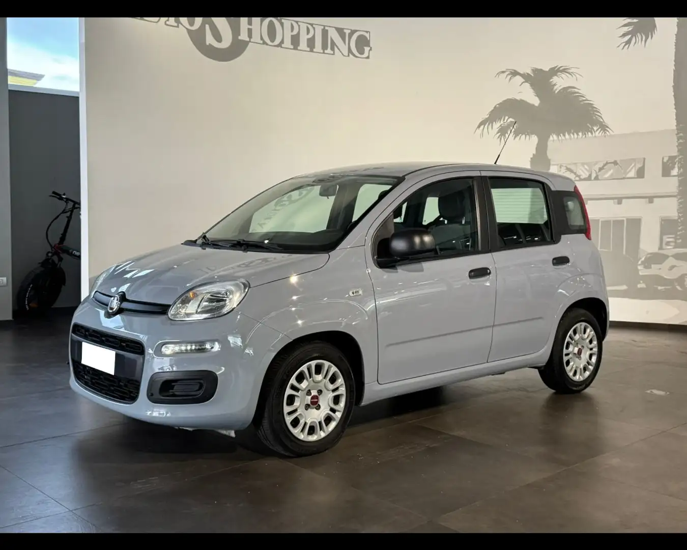 Fiat Panda 3ª serie 1.0 FireFly S&S Hybrid Grau - 1