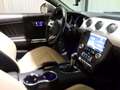 Ford Mustang ITALIANA 2.3 ecoboost 317cv CABRIO Grigio - thumbnail 14