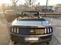 Ford Mustang ITALIANA 2.3 ecoboost 317cv CABRIO Grigio - thumbnail 4