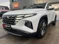 Hyundai TUCSON 1.6TDI Mild-Hybrid 4WD/NAVI/LED/Pano/AHK Weiß - thumbnail 1