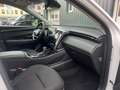 Hyundai TUCSON 1.6TDI Mild-Hybrid 4WD/NAVI/LED/Pano/AHK Weiß - thumbnail 15