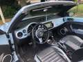 Volkswagen Beetle Beetle Cabriolet 1.4 TSI Sport DSG Bleu - thumbnail 13