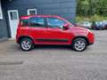 Fiat Panda ***VERKAUFT***4x4 1,3 Multijet II 75 4x4 Rock**... Rot - thumbnail 3