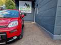 Fiat Panda ***VERKAUFT***4x4 1,3 Multijet II 75 4x4 Rock**... Rot - thumbnail 8