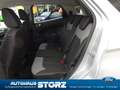 Ford EcoSport Trend WINTER PAKET|KLIMAAUTOMATIK|BLUETOOTH|LM-FEL Silber - thumbnail 7