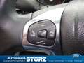 Ford EcoSport Trend WINTER PAKET|KLIMAAUTOMATIK|BLUETOOTH|LM-FEL Silber - thumbnail 18