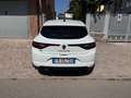 Renault Megane Megane 4  1.5 dci energy Intens 110cv Bianco - thumbnail 3