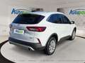 Ford Kuga Titanium Hybrid Weiß - thumbnail 8