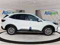 Ford Kuga Titanium Hybrid Weiß - thumbnail 5