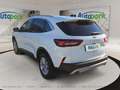 Ford Kuga Titanium Hybrid Weiß - thumbnail 6