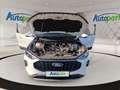 Ford Kuga Titanium Hybrid Weiß - thumbnail 9