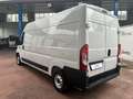 Fiat Ducato Ducato 33 2.2 Mjt 120CV PC-TN Furgone Blanc - thumbnail 4
