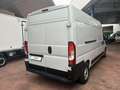 Fiat Ducato Ducato 33 2.2 Mjt 120CV PC-TN Furgone Blanc - thumbnail 5