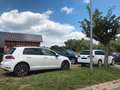 Volkswagen Golf VII 150PS EDITION Massage 17" LED Pano RFK Blanc - thumbnail 2