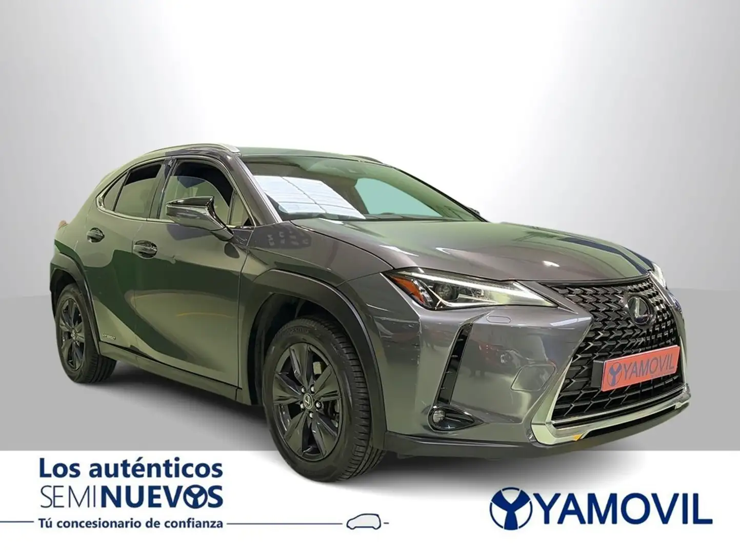 Lexus UX 250h Business 2WD Gris - 2