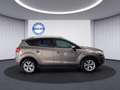 Ford Kuga Champions Edition NAVI*SHZ*PDC*TEMPOMAT*AHK - thumbnail 5